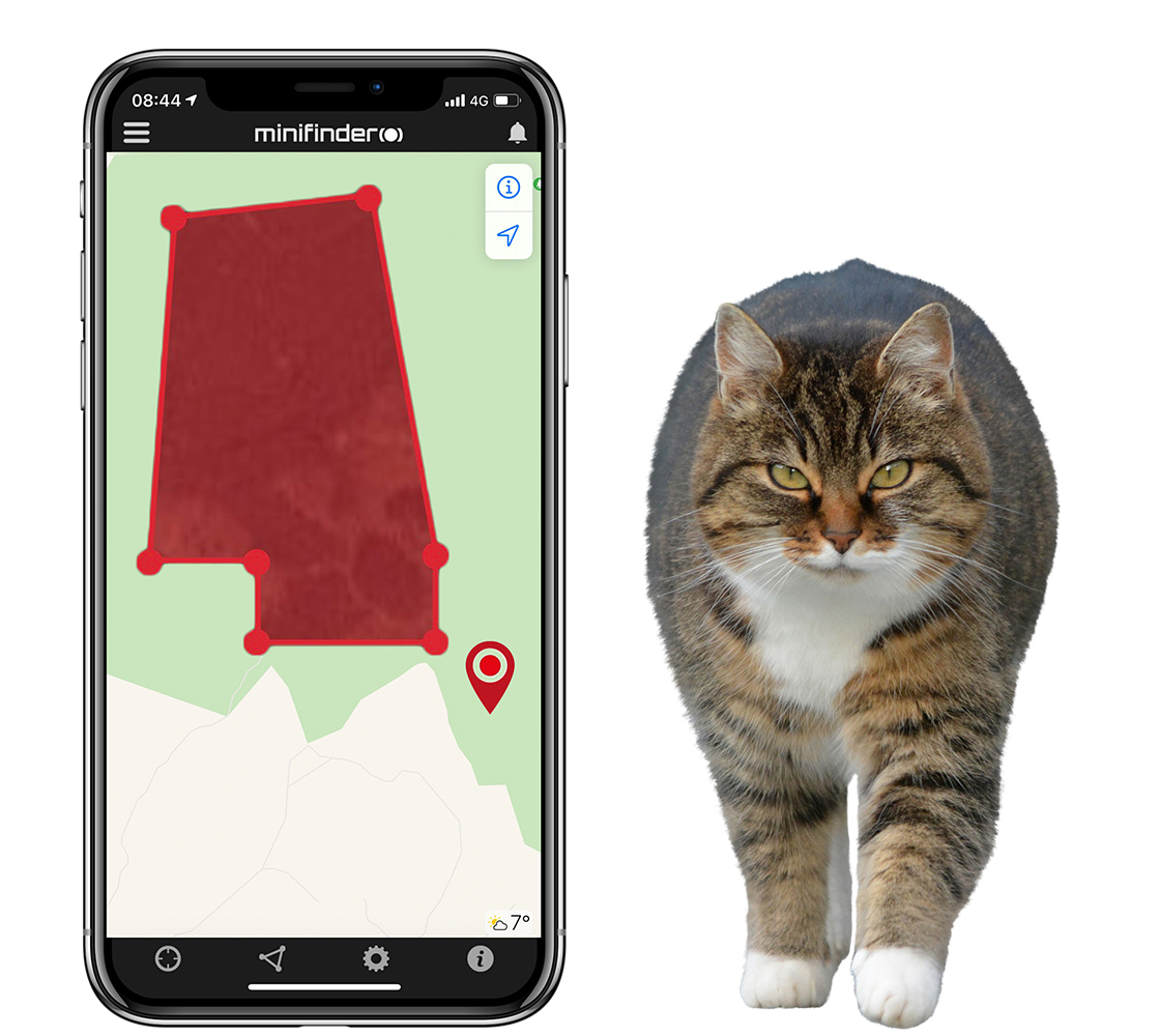 Spor din kat ved hjælp af GPS-teknologi