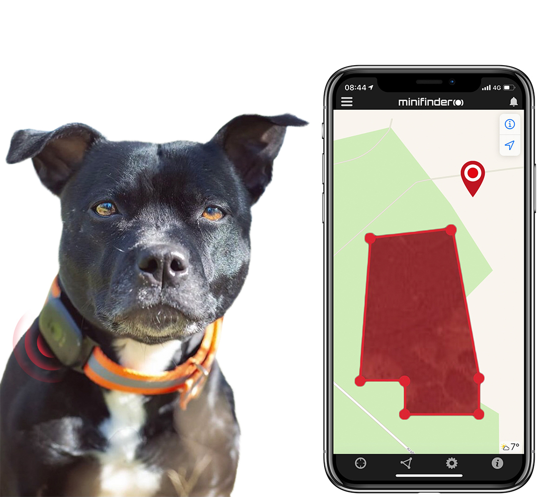 Hund beskyttet med GPS hundesøgning