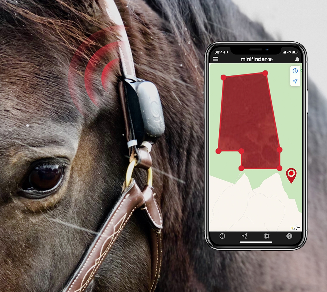 Hest med GPS til sporing